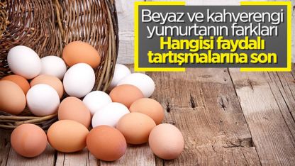 Hangisi daha faydalı?