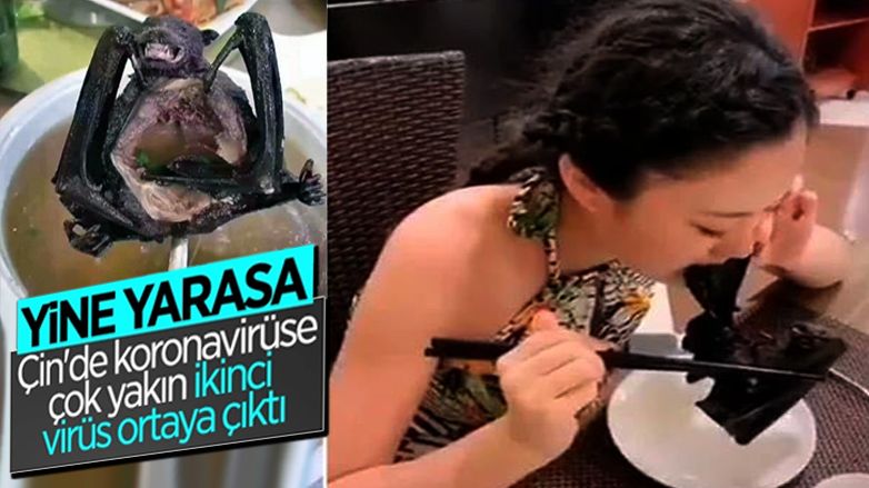 Çin’de, koronavirüse yakın ikinci bir virüs bulundu