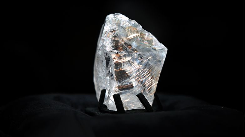 Dünyanın 'üçüncü en büyük elması' bulundu