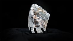 Dünyanın 'üçüncü en büyük elması' bulundu