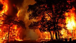 Kıbrıs Rum kesiminde devam eden yangında 4 kişi hayatını kaybetti