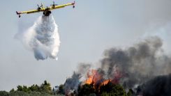 Stamata bölgesinde orman yangını