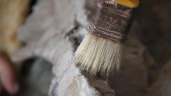 Dünyanın en eski hayvan fosili bulundu