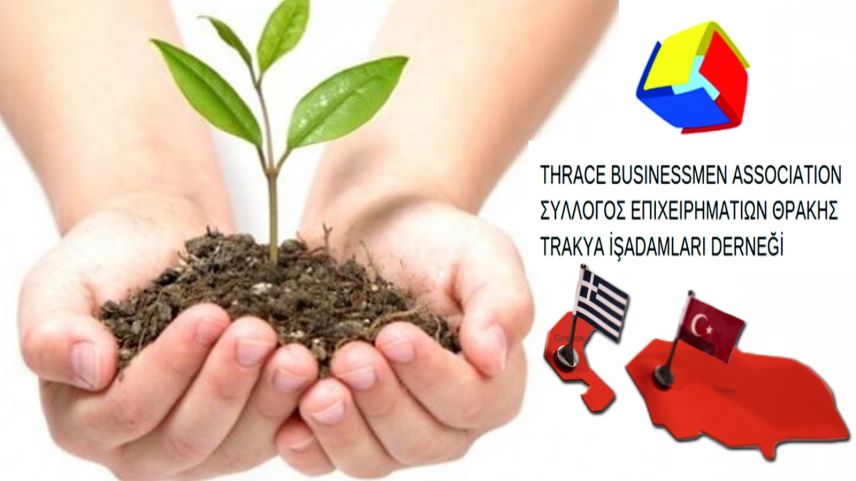 Trakya İşadamları Derneği, Türkiye ve Yunanistan’a fidan bağışında bulundu