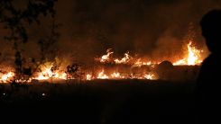 Kuzey Makedonya hükümeti orman yangınları nedeniyle 'kriz durumu' ilan etti