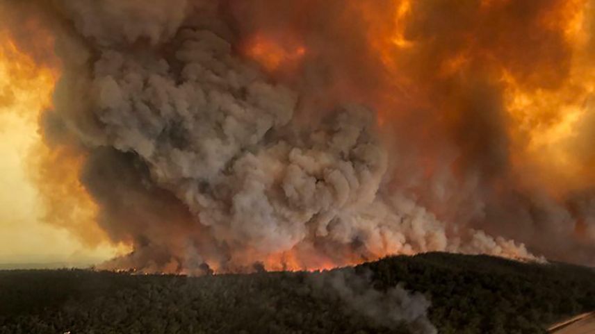 Yerküre, orman yangınlarının etkisi altında