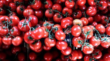 Ρεκόρ στις εξαγωγές φρούτων και λαχανικών στην Τουρκία
