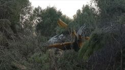 Zakintos'da yangın söndürme uçağı düştü