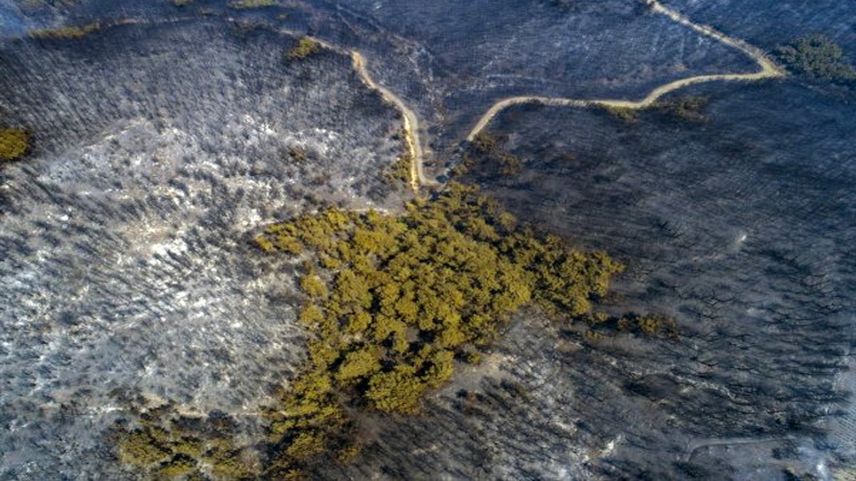 Yunanistan'da yüz binlerce dönümlük alanı küle çeviren yangın sürüyor