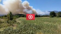 Gümülcine Dereköy'de büyük yangın 