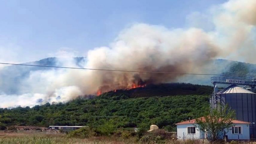 Kavala'da orman yangını!