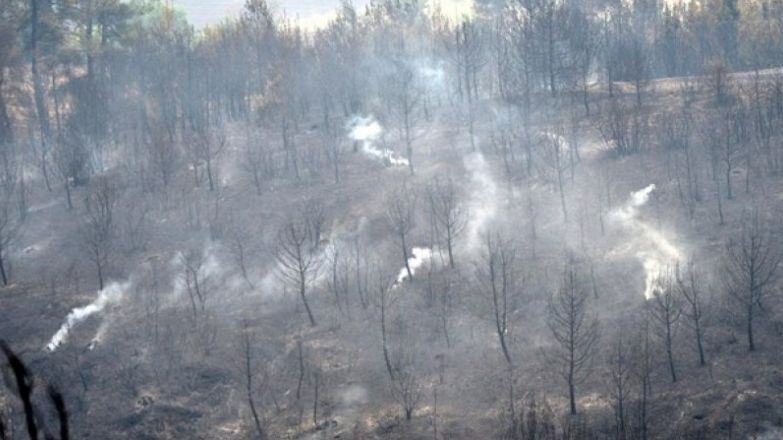 Attika bölgesinde iki günde 90 bin dönüm arazi kül oldu