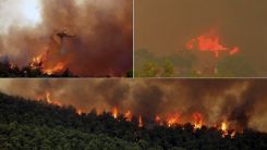  Atina yakınlarındaki orman yangını 4. gününde devam ediyor 