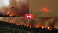 Yunanistan'da yangınlar kontrol altına alınamıyor