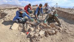 Hayvanlarıyla gömülen Urartulunun mezarı arkeologları heyecanlandırdı
