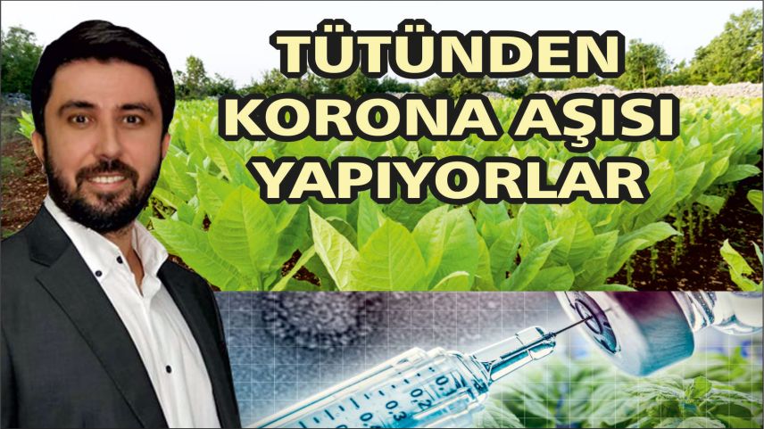 “Medicago firması yeni Covid-19 aşısını tütünden üretecek”