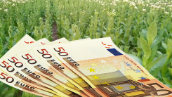 Haber dinle | Yurttan ve bölgeden öne çıkan gelişmeler |11.11.2021