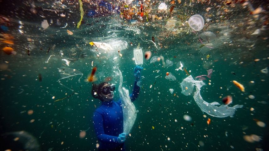 Okyanusları kurtarmak için ABD'nin plastik üretimini azaltması gerekir