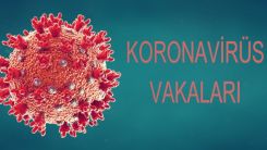 Yunanistan'da vakalarda son durum