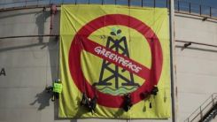 Greenpeace: Yunanistan'ın hidrokarbon araması bölgedeki memeliler için tehdit