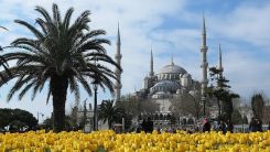 Sultanahmet Camisi'nin en kapsamlı restorasyonu, 2022 ortalarında tamamlanacak