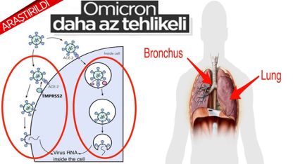 'Omicron' varyantının daha az tehlikeli olduğunu gösteren araştırma