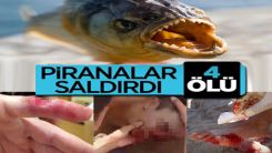Pirana saldırılarında 4 kişi öldü