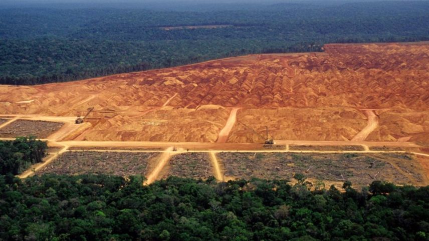 Amazon Ormanları'ndaki bir yıllık kayıp Katar’dan büyük