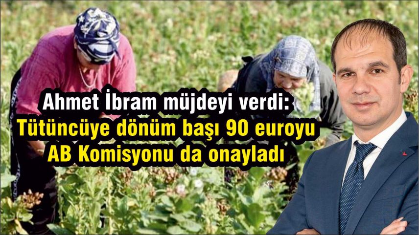 Tütüncüye dönüm başı 90 euro tazminat AB Komisyonu tarafından onaylandı