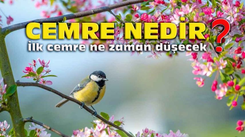2022'nin cemreleri: İlk cemre ne zaman düşecek?