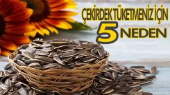 Çekirdek tüketmeniz için 5 neden