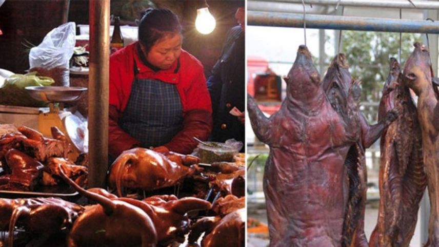 İki yeni araştırma: Kovid-19'un kaynağı Çin