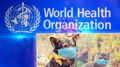 "Kovid-19 hayvanlarda yayılırsa yeni varyantlar türemesi kolaylaşabilir"