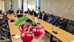 Eyalet Başkanlığı, kiraz üreticilerinin sorunları için toplandı