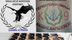 19 tabanca ve iki kilo hint keneviri ile yakalandı