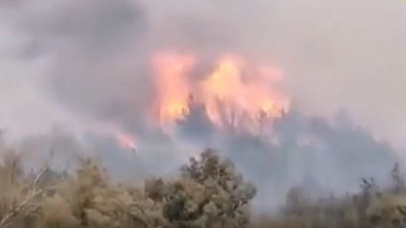Sisam (Samos) Adası'nda çıkan yangın kontrol edilemiyor