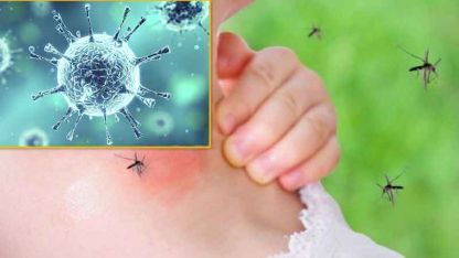 Dünya Sağlık Örgütü’nden yeni salgın uyarısı: 'Böceklerden bulaşacak'