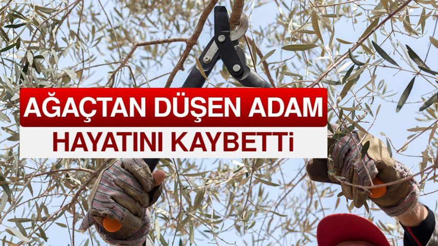 Budadığı ağaçtan düşerek hayatını kaybetti