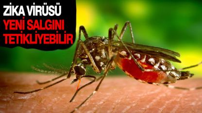 Bilim insanlarından Zika virüsü uyarısı