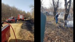 Musacık köyü ormanında yangın çıktı