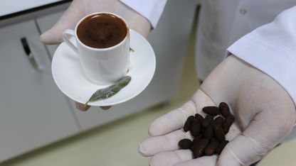 Zeytin çekirdeğinden Türk kahvesi üretildi