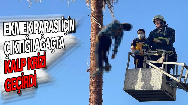 Ağacın üstünde hayatını kaybetti!