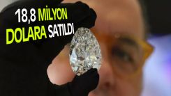 Dünyanın en büyük elması 'Kaya' 18,8 milyon dolara satıldı