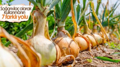 Doğal ilaç soğanı kullanmanın 7 farklı yolu
