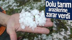 Yağan dolu zarara neden oldu! 