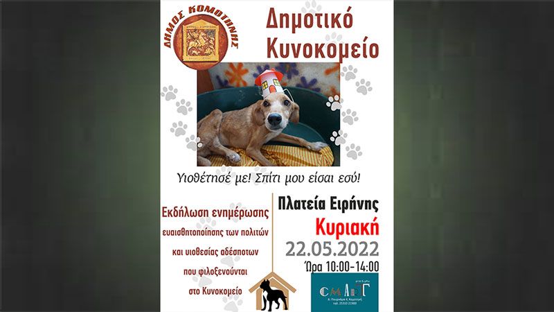 Evsiz köpekler için etkinlik düzenlenecek