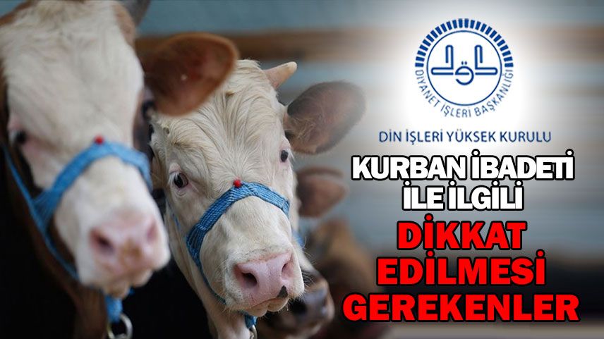 Kurban ibadeti ile ilgili dikkat edilmesi gerekenler