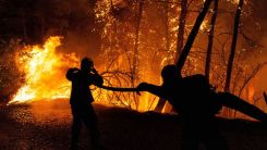 Yunanistan'da orman yangınları: 4 köy tahliye edildi