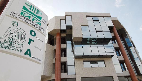 OGA’lılara yardım paralarının son taksiti 18 Aralık’ta ödenecek