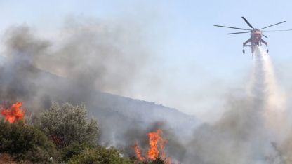 Sofulu ilçesinin ormanlık alanında yangın çıktı